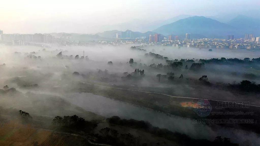 崩坏3