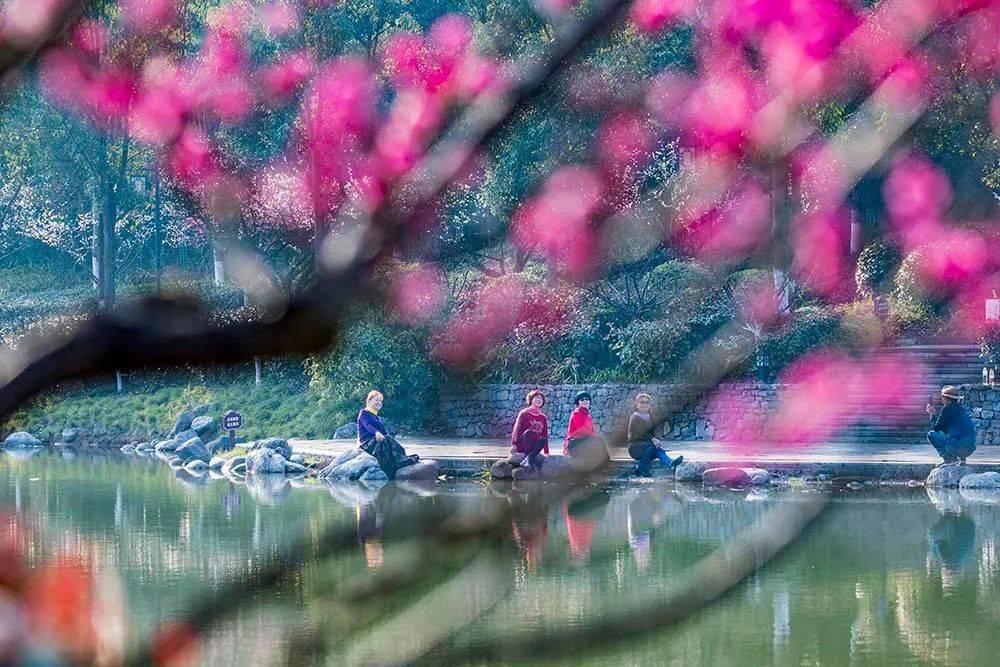 济南市劳动能力现场鉴定平台正式上线运行