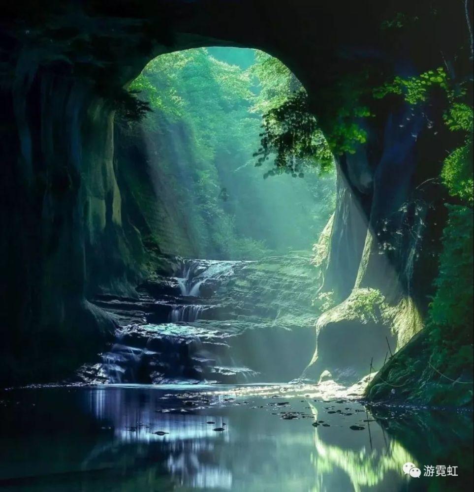 动物帮帮忙保卫家园