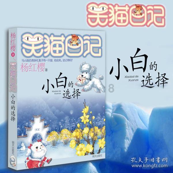 光明大陆