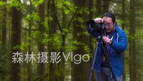 证监会全面暂停限售股出借