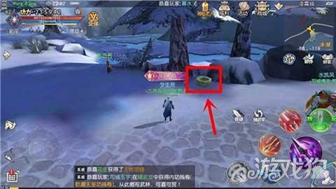 穿越遗弃的森林