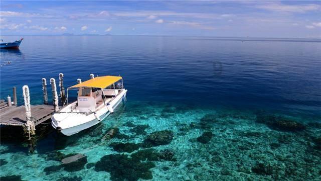 海绵宝宝寻珍宝