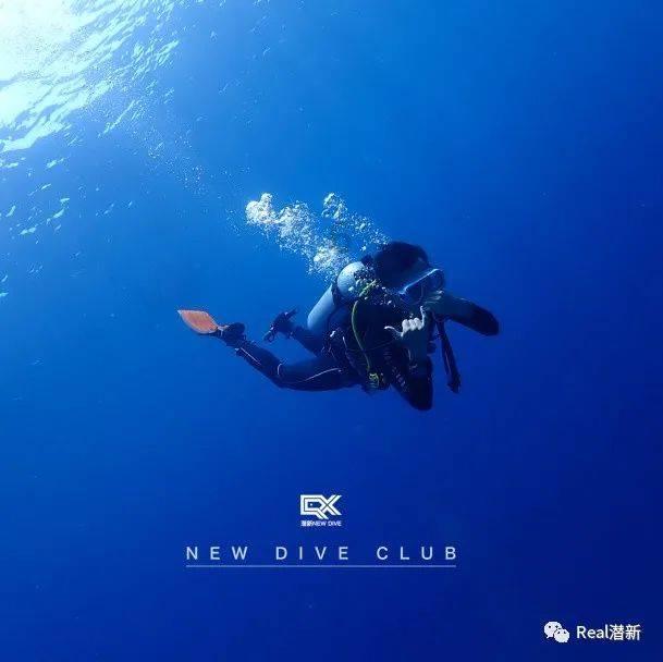 陶粒一般在哪买