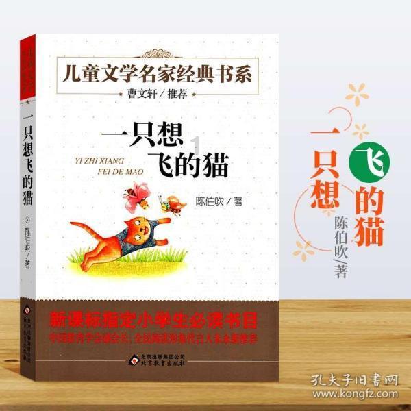 罗马诺:马竞考虑引进瓦伦西亚33岁中卫保利斯塔