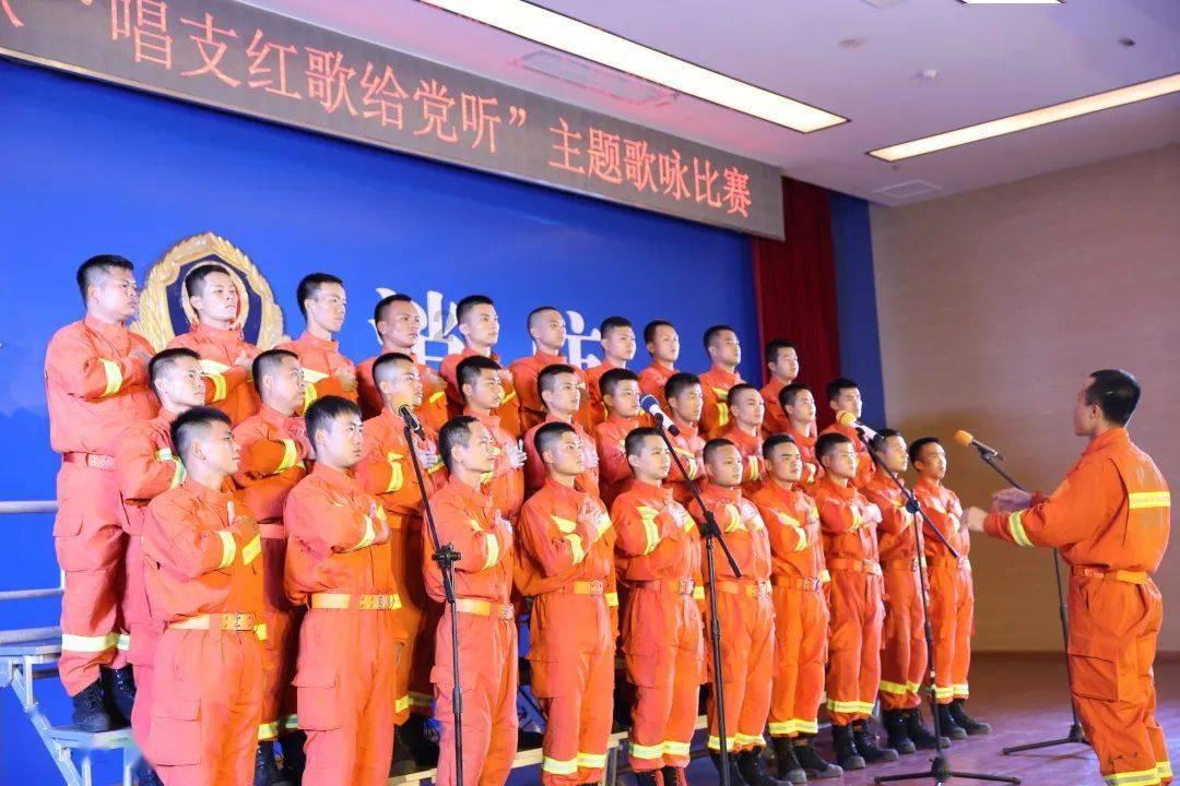 哈尼和她的宠物们