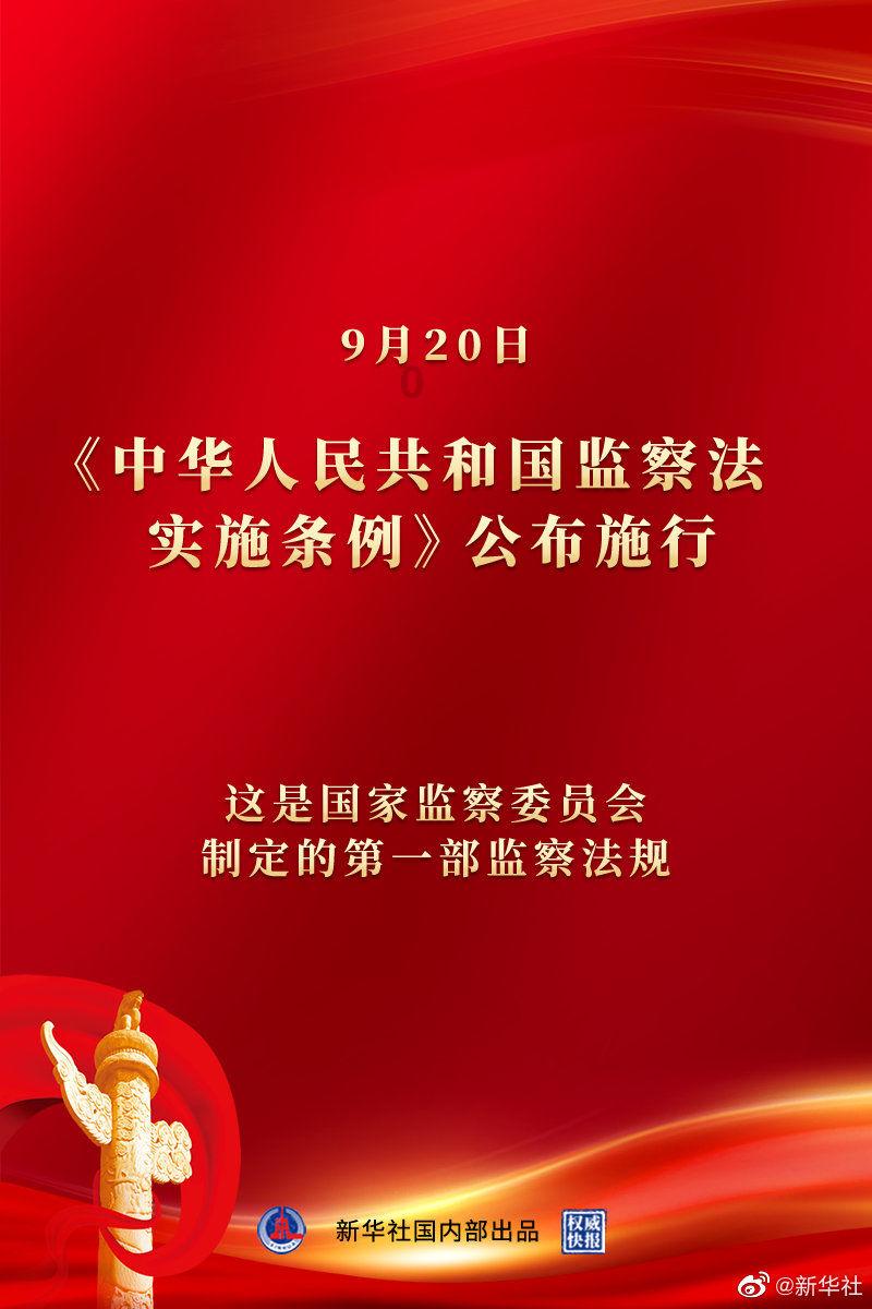 救援小橘猫