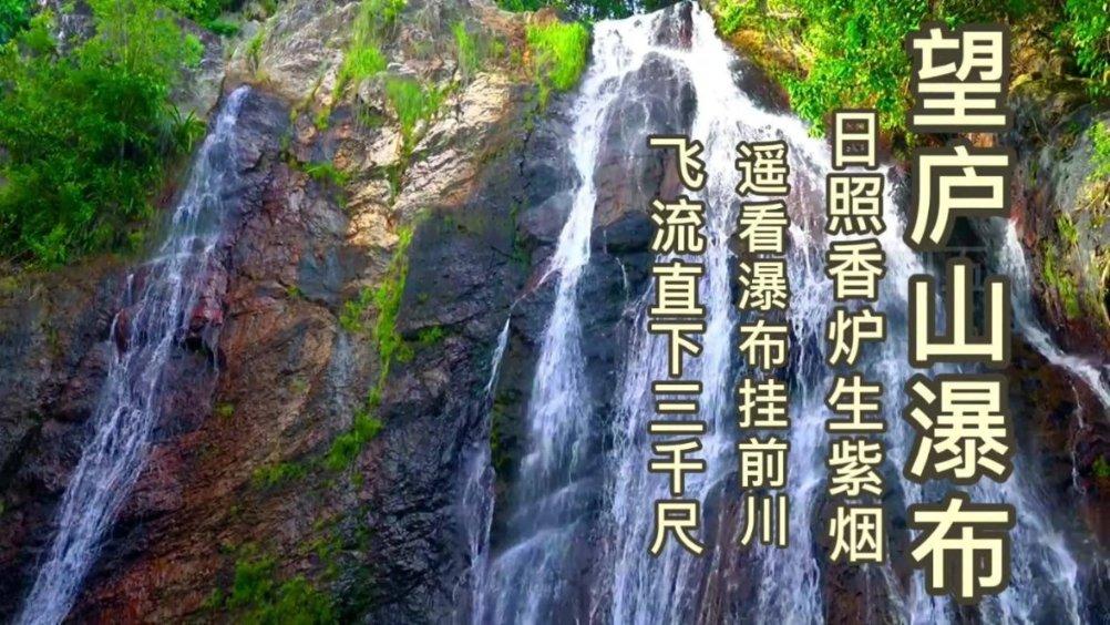 逃离蜥蜴森林