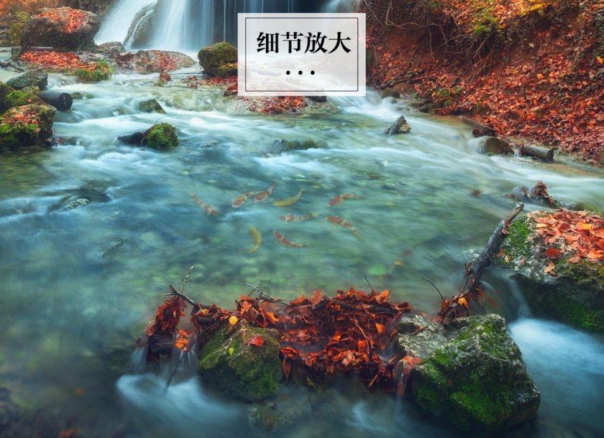 意媒:费利佩-安德森准备在二月初与尤文签约,在夏窗自由身加盟
