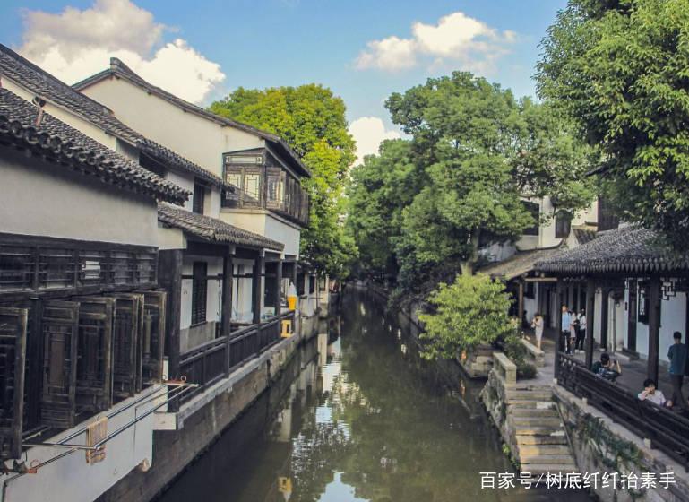 植物大战僵尸6