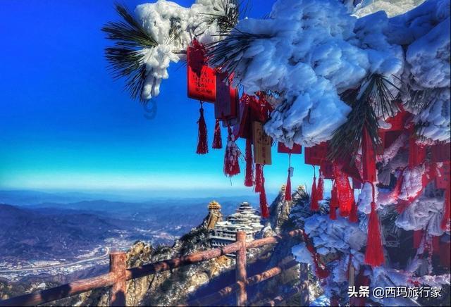 兽人必须死