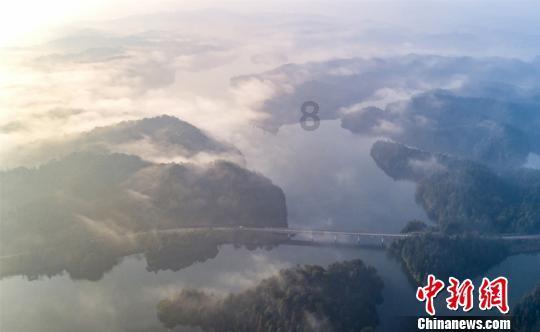 寻找沙漠珍宝